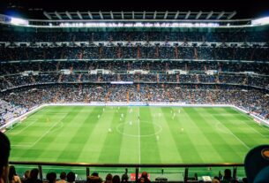 What to Expect at a Sports Card Trade Show This Season